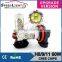 Speedlight Wholesale 60W High Power H8 LED Fog Light Bulb