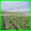 Crop Cover Plant Frost Protection Agricultural Insect Netting for Plants