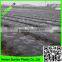 Hot!!! agricultural mulch film/new zealand plastic film for strawberry planting