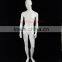 Fashion leisure fiberglass mannequins