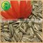 Top Sale Products Sunflower Seeds in China