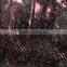 marbled decorative glass