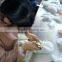 Custom Size Color Fur Trim/Detachable Silver Fox Fur Trim for Fashion Ladies