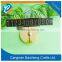 Gold supplier for widely used supermarket plastic price tag                        
                                                Quality Choice