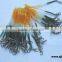 Plastic spring coiled lanyard no minimum order