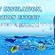 Hot sale 600L Frozen seafood shipping box