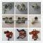 cuplock type scaffolding systerm top cup, bottom cup,ductile iron top cup