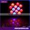 E27 led grow light bulb 12 watt horticulture led grow lighting