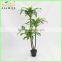 artificial dracaena trees-newest product