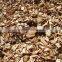 ACACIA/EUCALYPTUS WOOD CHIPS