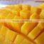 FROZEN MANGO ( 2015 new crops )