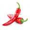 different types of seeds red hot chili pepper seeds vegetable price