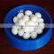 Economica Nest the pigeon nest pet plastic accessories bird nest pet product