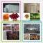 Customization available heated air circulation intelligent control fish dryer