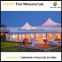 10~20m High Peak Party Tent Marquee for sale