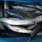 Frozen Pacific Mackerel Fish 250-350G