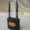 iron padlocks