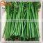 Factory direct artificial bamboo tree fake artificial bamboo plants encryption plastic bamboo poles