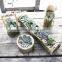 Long Polishing Bamboo Material Decoration Craft Bamboo Vase