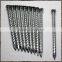 High quality good selling Wood Nail