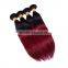 Wholesale fast shipping virgin Indian hair vendors , ombre hair