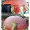 inflatable planetarium tent