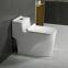 Chinese ceramic one piece wc toilet dual flush valve