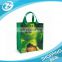Fashion 100% Eco Friendly Full Color pet non woven shopping bag