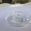 Hot Selling silicone oil manufacturers /Chemical Raw Material /PDMS/Polydimethylsiloxane/ CAS NO.63148-60-7
