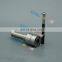 ERIKC DSLA128P5510 масляный форсуночный патрубок 0 433 175 510 форсуночный пистолет DSLA 128 P 5510 для 0445120231