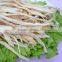 nanguang factory price Dried Cod Fillet 15cm up for sale