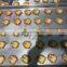 Cute panda  penguin shaped cookies making machine for retail