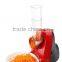 Best seller 2 in 1 family-use vegetable Slicer and frozen fruit maker frozen dessert maker ice cream maker