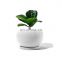 Ball Big shaped large capacity garden pink design ceramic Succulent planter plant flower pot with Drainage Hole and Saucer