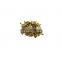 Herbal Extract sophora japonica fruit extract powder