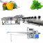 prickly pear washing machine fruits washing and cleaning machine