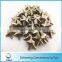 Good quality Brass Copper stud for fashion men's coat