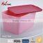 Fashion Design Plastic Clothes Organizer Storage Box for Household