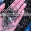 Hot Sale in Russia/Ukraine Sun dried Slice Kelp/Laminaria Seaweed
