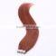 Overseas wholesale suppliers the best remy human tape in hair extensions                        
                                                                                Supplier's Choice
