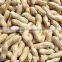 Chinese peanut suppliers