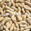 Chinese peanut kernel