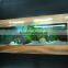 HOT SALE WALL HANGING AQUARIUMS,WALL FISH TANK,AQUARIUM TANK