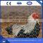 China Hexagonal Wire Mesh Aviary Cage Wire Mesh Aviary Panels