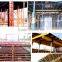 High Quality Low Price Heave/Light Duty painted Adjustable Scaffolding Steel Shoring Prop