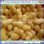 Corn flakes snacks machine/processing plant