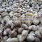 Suvimie Ceylon Ovened Cashew (Full nut)