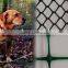 PP diamond plastic extruded net/black BOP net