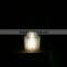 Top Quality WOODY LED Book Light
