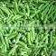 IQF frozen Green beans with good quality and hot price